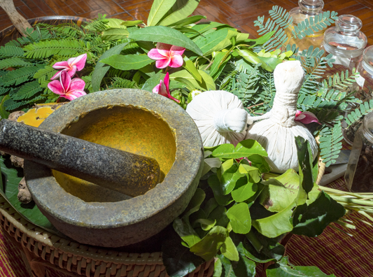 Sri Lanka and Ayurveda: Why Authenticity Begins at the Source